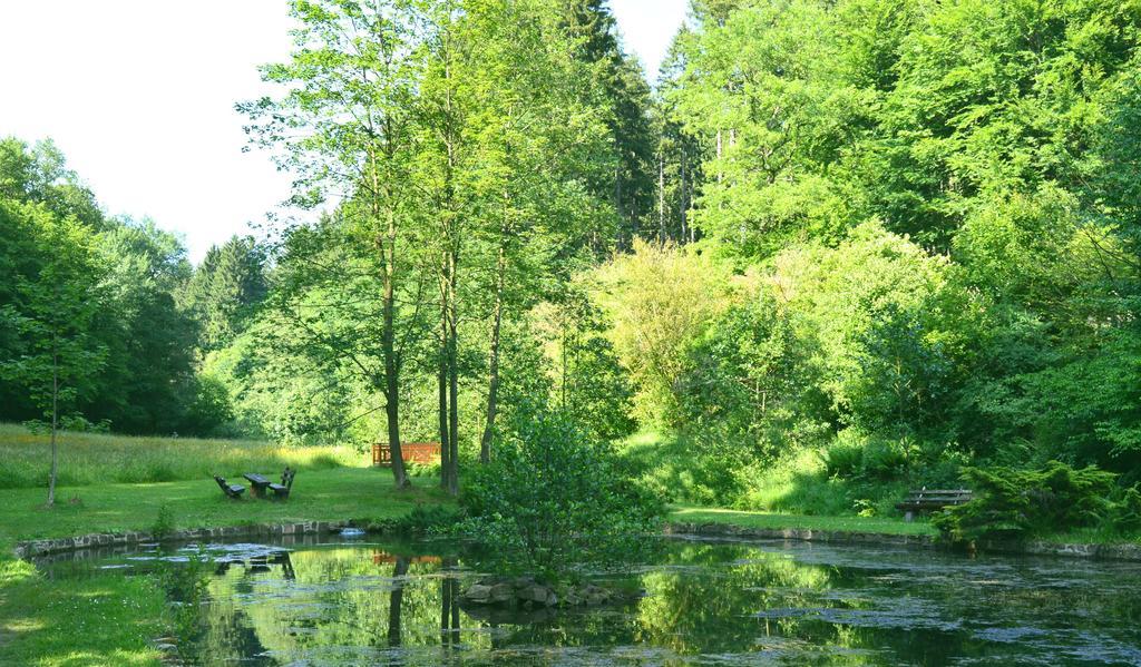 Gassbachtal Hotel Grasellenbach