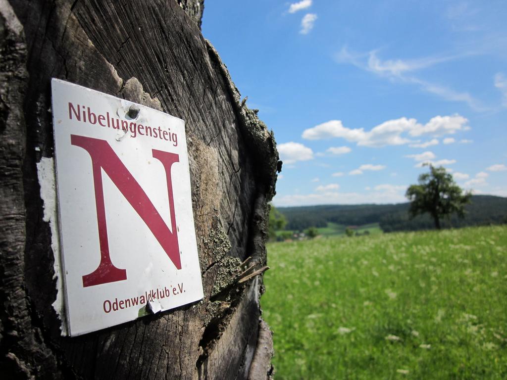 Gassbachtal Grasellenbach