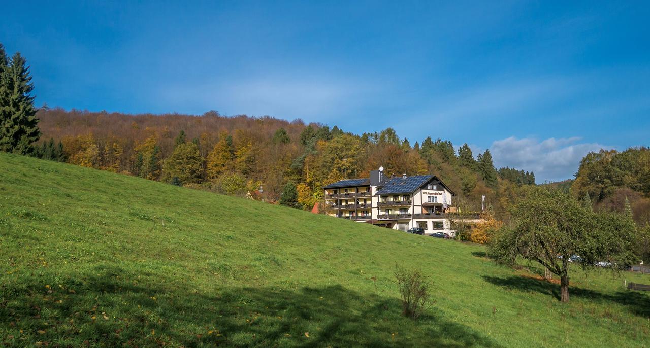 Gassbachtal Hotel Grasellenbach