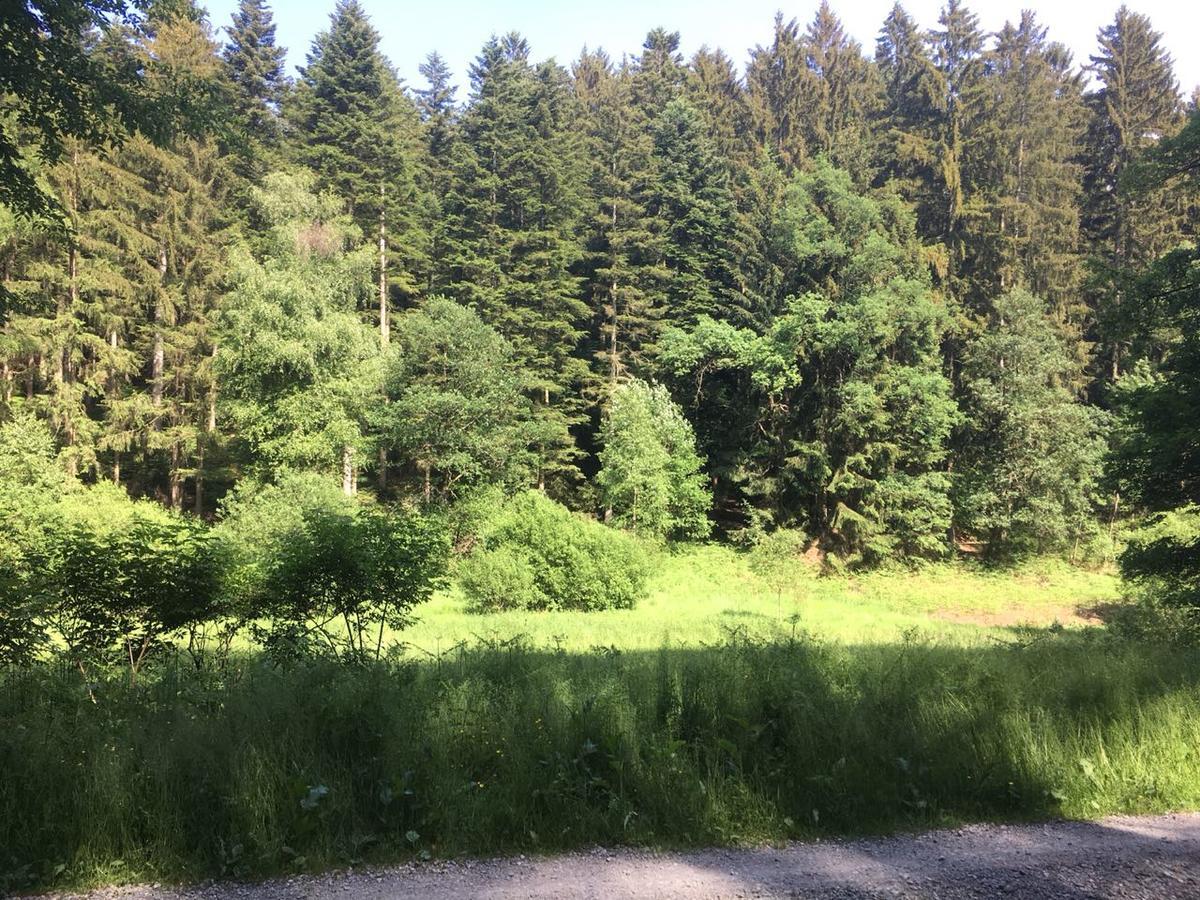 Gassbachtal