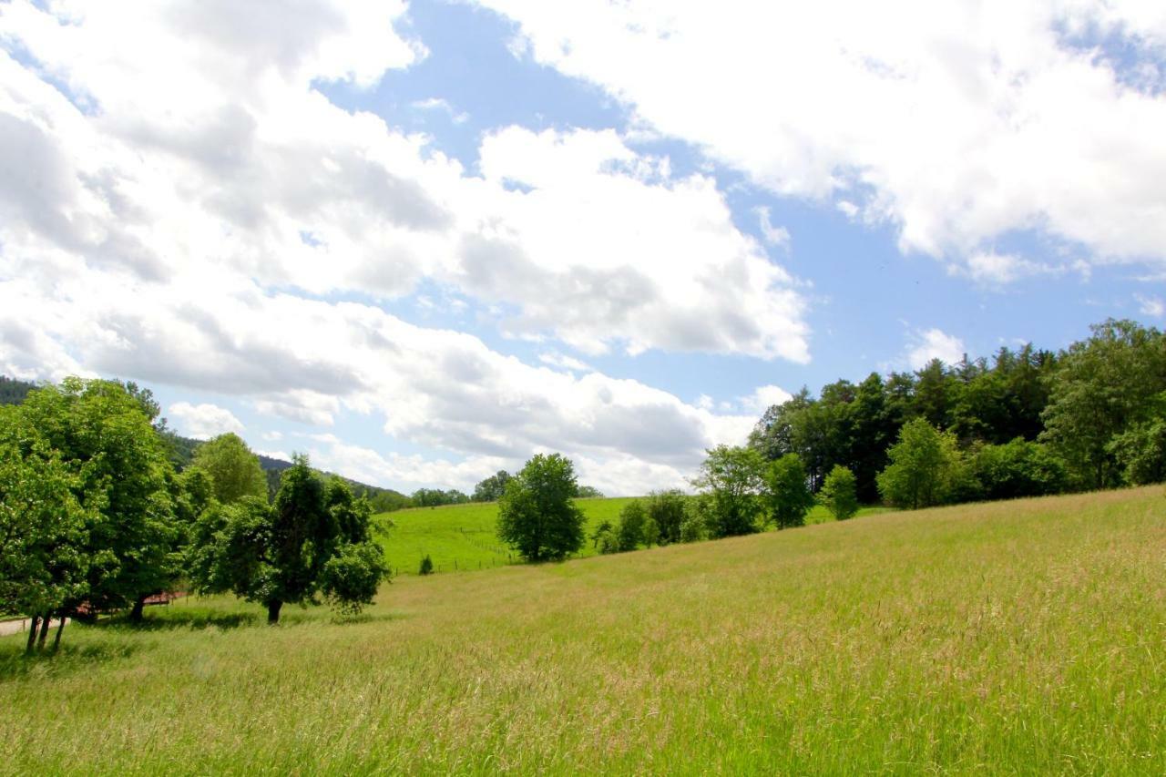 Gassbachtal 3* Grasellenbach