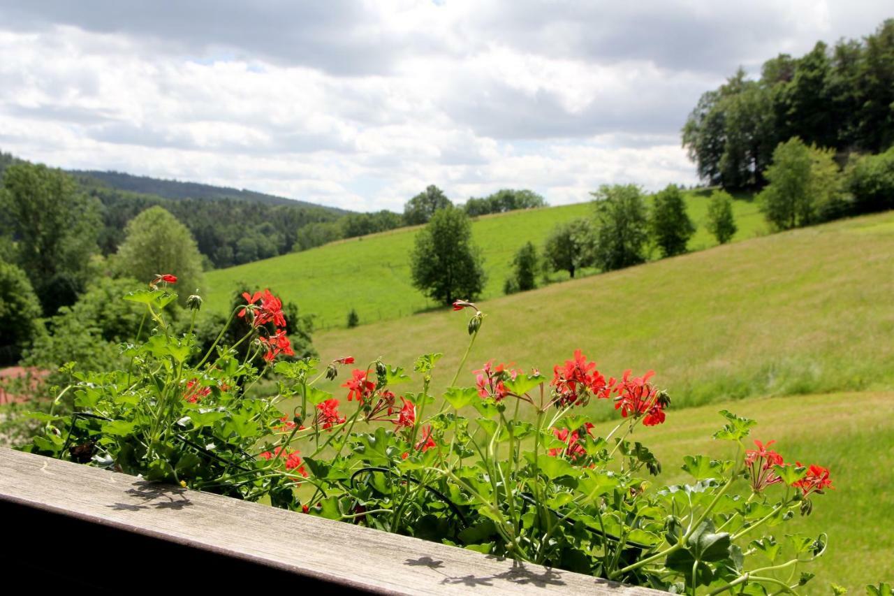 Отель & Wander Gassbachtal 3*